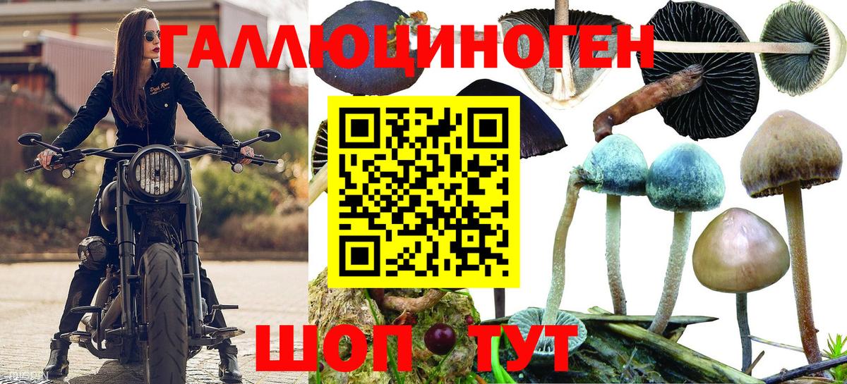 Ижевск  Галлюциногенные грибы прущие грибы  Вход с VPN 
